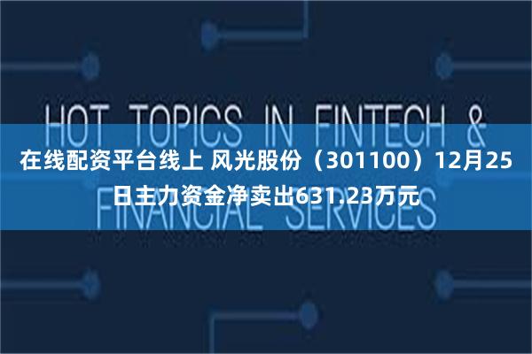 在线配资平台线上 风光股份（301100）12月25日主力资金净卖出631.23万元