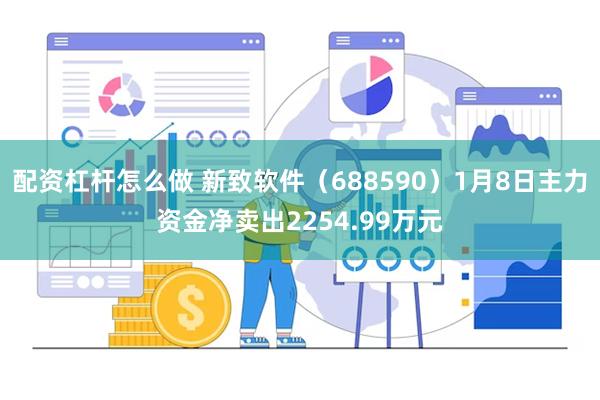 配资杠杆怎么做 新致软件（688590）1月8日主力资金净卖出2254.99万元