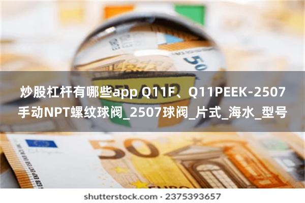 炒股杠杆有哪些app Q11F、Q11PEEK-2507手动NPT螺纹球阀_2507球阀_片式_海水_型号