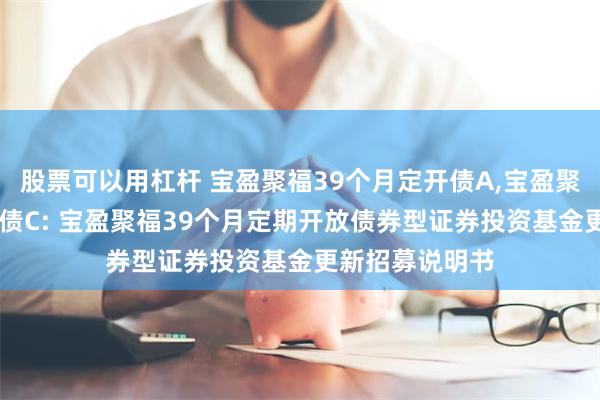 股票可以用杠杆 宝盈聚福39个月定开债A,宝盈聚福39个月定开债C: 宝盈聚福39个月定期开放债券型证券投资基金更新招募说明书