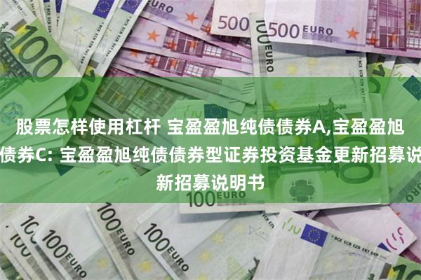 股票怎样使用杠杆 宝盈盈旭纯债债券A,宝盈盈旭纯债债券C: 宝盈盈旭纯债债券型证券投资基金更新招募说明书