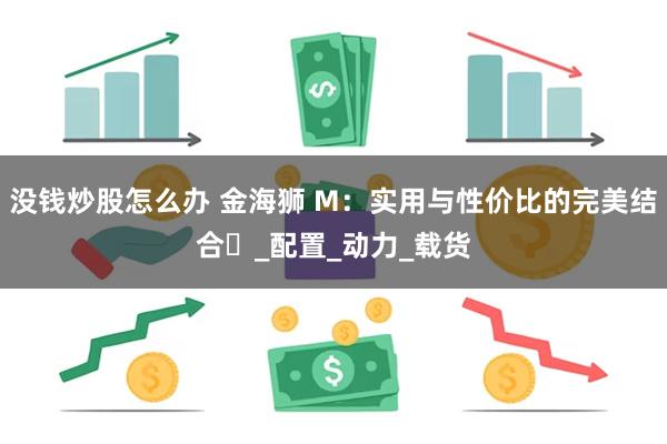 没钱炒股怎么办 金海狮 M：实用与性价比的完美结合​_配置_动力_载货