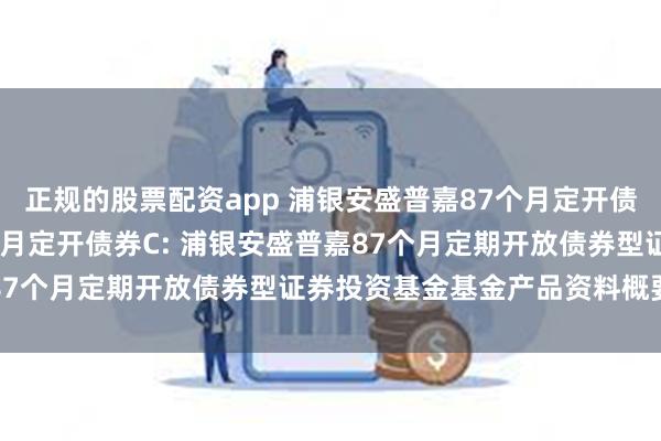 正规的股票配资app 浦银安盛普嘉87个月定开债券A,浦银安盛普嘉87个月定开债券C: 浦银安盛普嘉87个月定期开放债券型证券投资基金基金产品资料概要更新