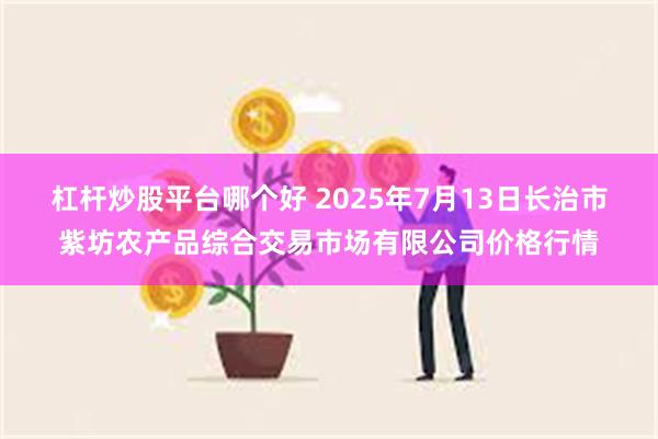 杠杆炒股平台哪个好 2025年7月13日长治市紫坊农产品综合交易市场有限公司价格行情