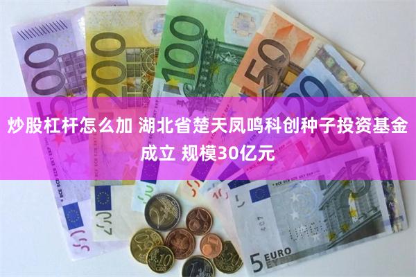 炒股杠杆怎么加 湖北省楚天凤鸣科创种子投资基金成立 规模30亿元