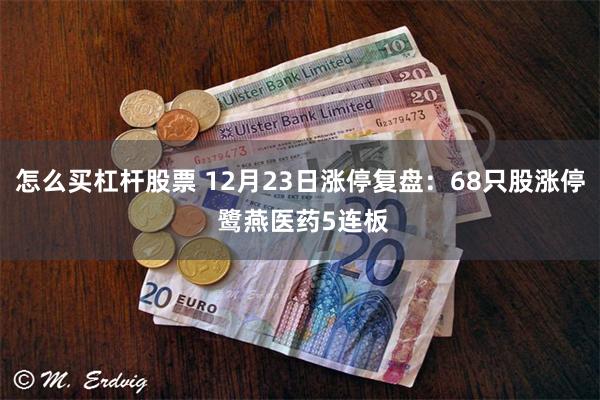 怎么买杠杆股票 12月23日涨停复盘：68只股涨停 鹭燕医药5连板